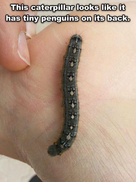 McFly's Daily Photo Flop