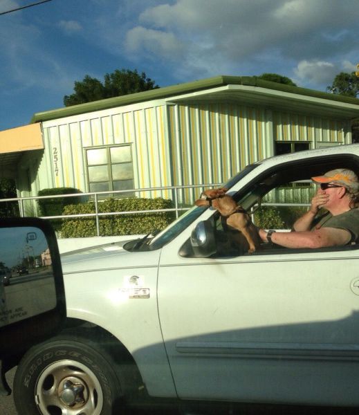 McFly's Daily Photo Flop