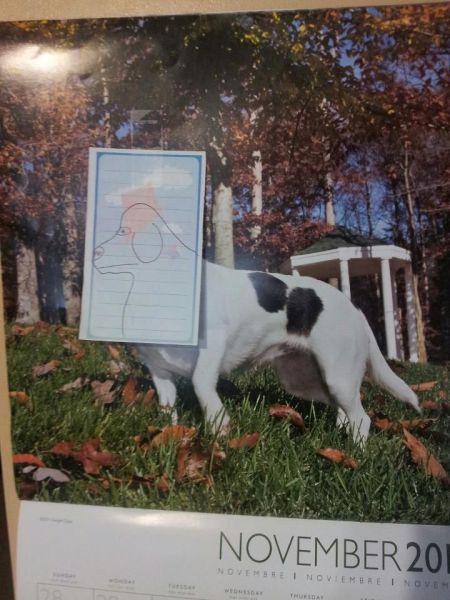 McFly's Daily Photo Flop