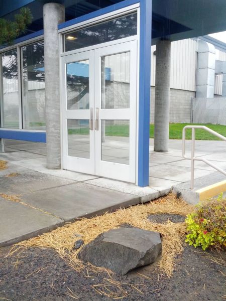 McFly's Daily Photo Flop