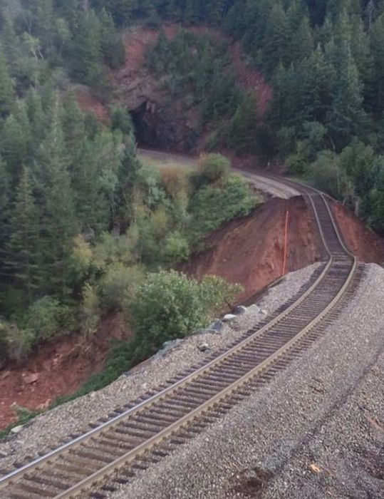 McFly's Daily Photo Flop