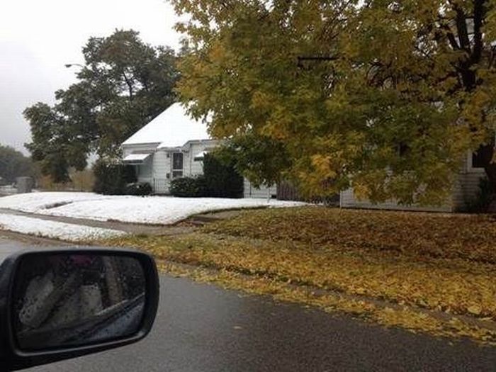 McFly's Daily Photo Flop