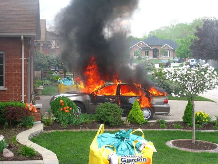 McFly's Daily Photo Flop