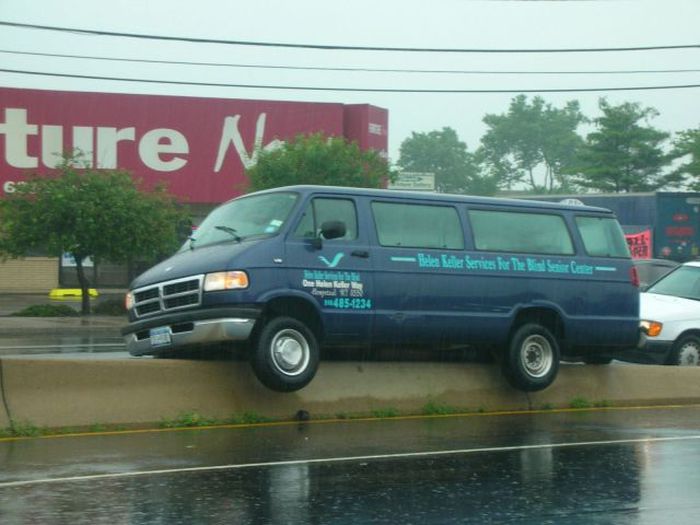 McFly's Daily Photo Flop