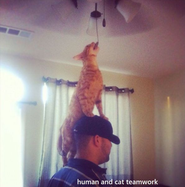 McFly's Daily Photo Flop