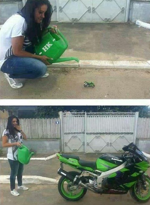 McFly's Daily Photo Flop