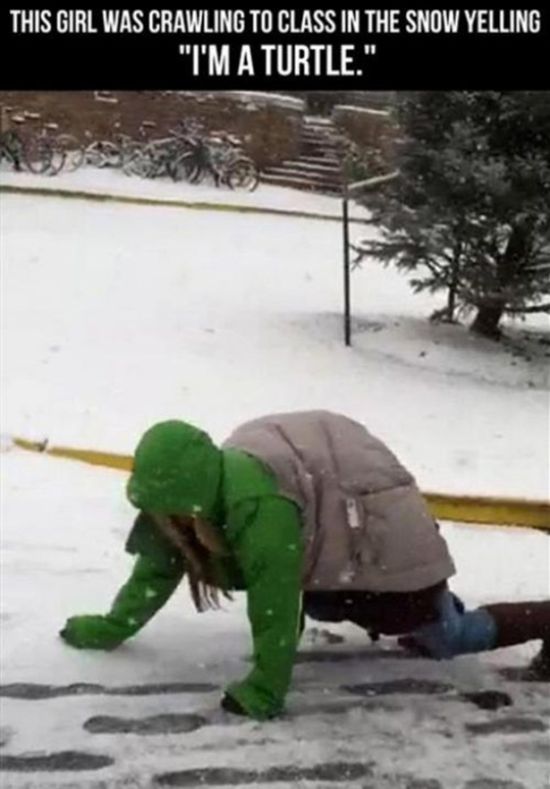 road turtle meme - This Girl Was Crawling To Class In The Snow Yelling "I'M A Turtle."