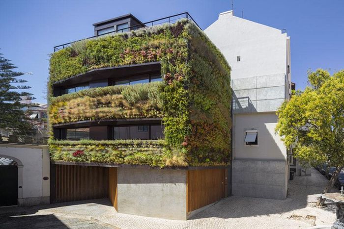 House Patrocinio, by Rebelo De Andrade in Lisbon, Portugal with 4,500 plants from 25 different varieties