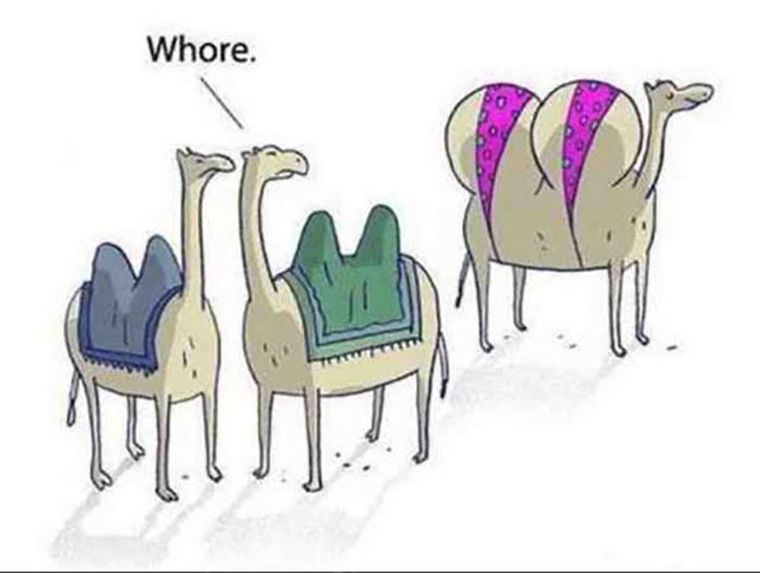 memes - my humps my humps my lovely lady lumps - Whore.