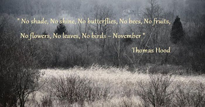 memes - atmosphere - "No shade, No shine, No butterflies, No bees, No fruits, No flowers, No leaves, No birds November Thomas Hood