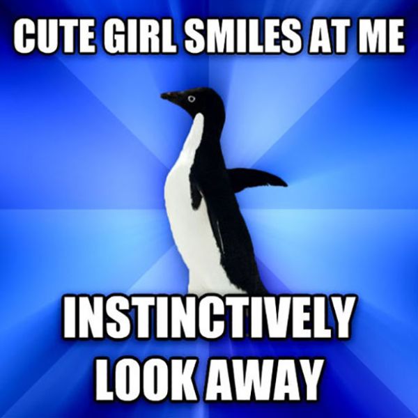 memes - penguin - Cute Girl Smiles At Me Instinctively Look Away