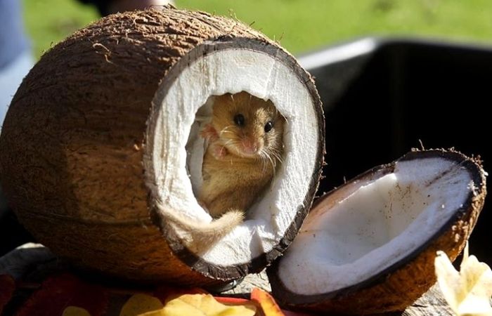 McFly's Daily Photo Flop