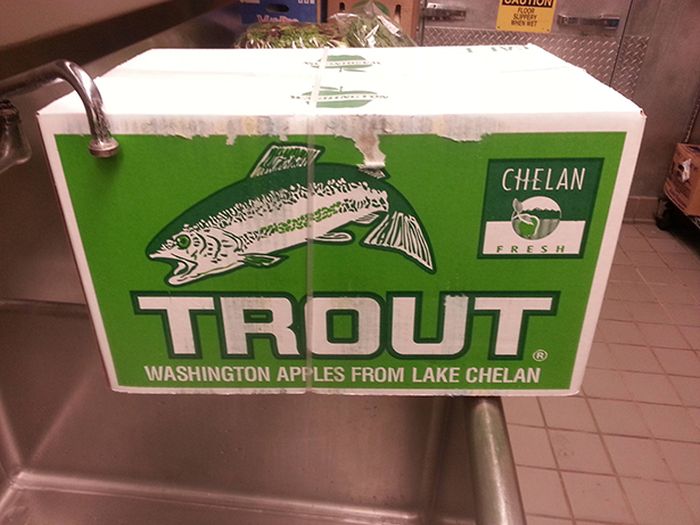 McFly's Daily Photo Flop