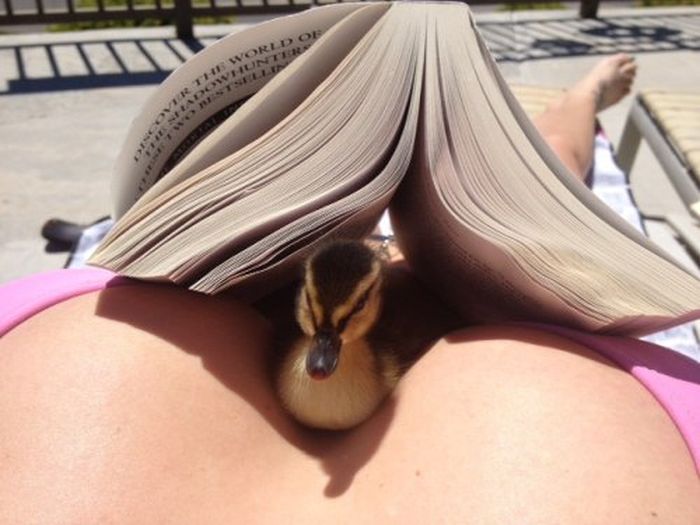 McFly's Daily Photo Flop