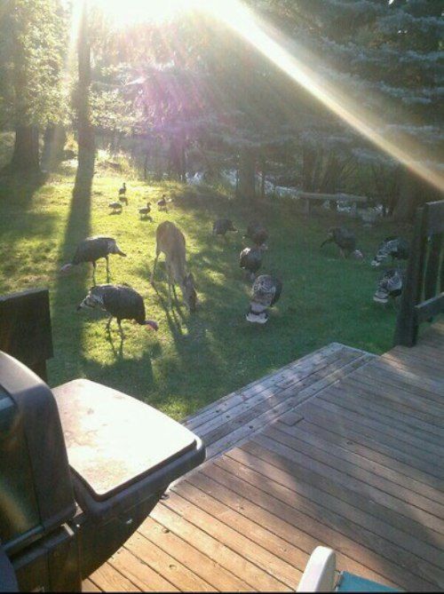 McFly's Daily Photo Flop