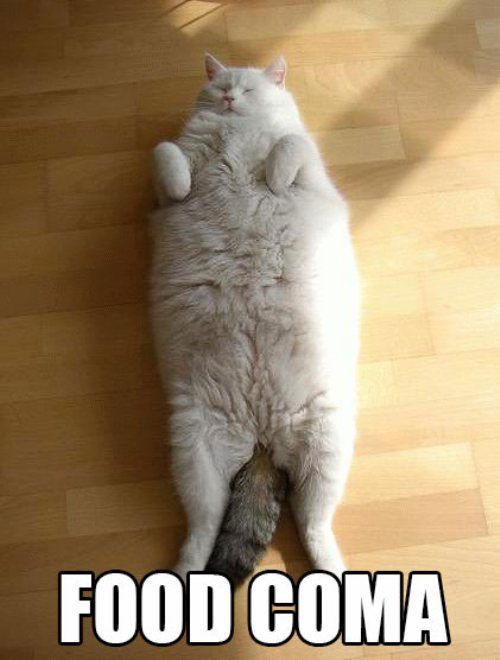 McFly's Daily Photo Flop