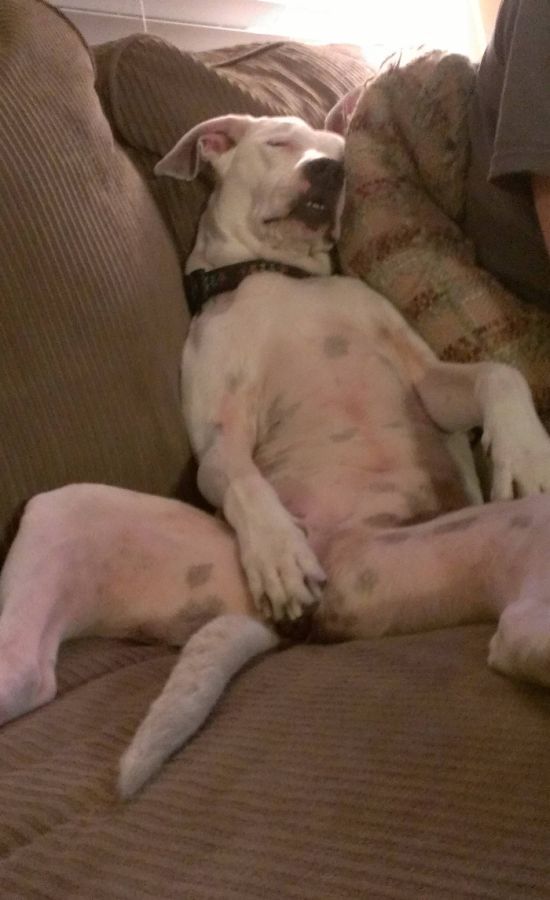 McFly's Daily Photo Flop