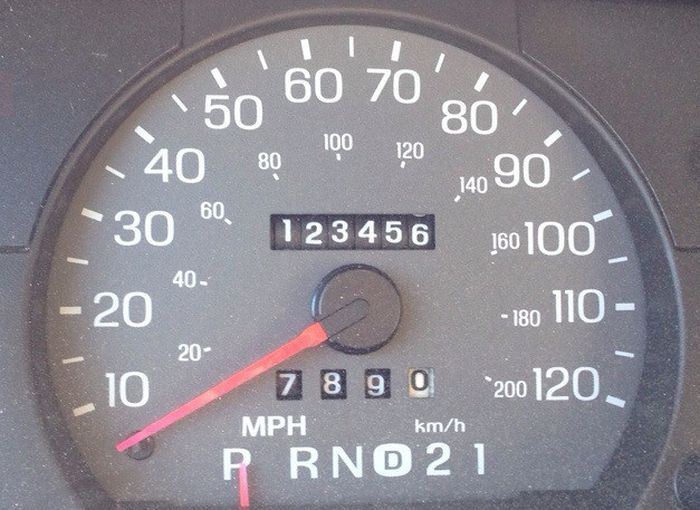 McFly's Daily Photo Flop