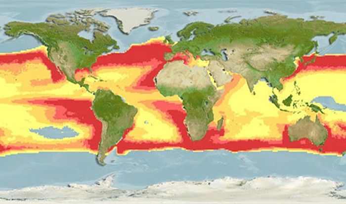 And this is all the places where you can get eaten by a Great White Shark