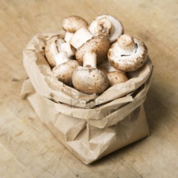 bag of mushrooms