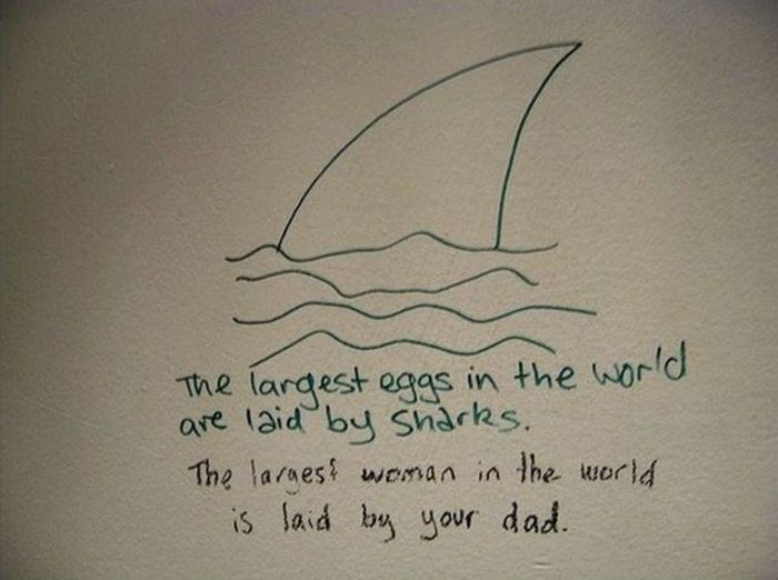 sarcastic replies - The largest eggs in the world are laid by Sharks. The largest woman in the world is laid by your dad.