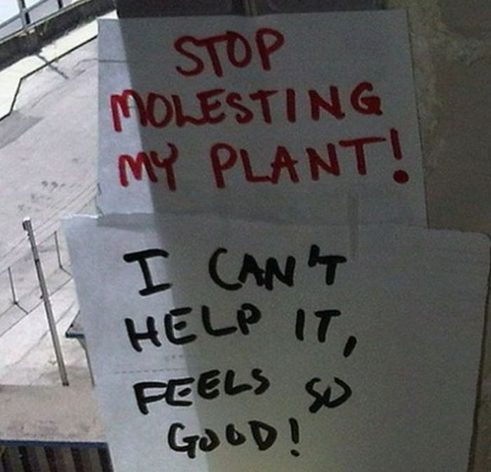 best sarcastic replies - Stop Molesting My Plant! I Can'T Help It, Peels So Good!