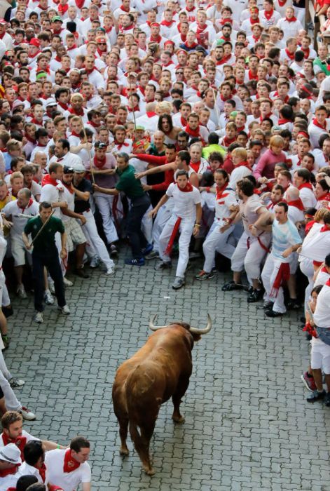 An Alcurrucen's ranch fighting bull stands alone surrounded by a crowd of runners on the way to entering the bullring during the second day of the San Fermin Running Of The Bulls festival in Pamplona, Spain. The annual Fiesta de San Fermin, made famous by the 1926 novel of US writer Ernest Hemmingway 'The Sun Also Rises', involves the running of the bulls through the historic heart of Pamplona