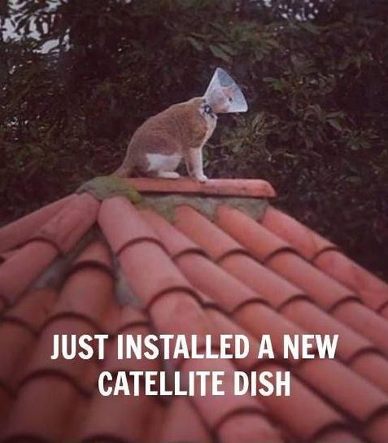 catellite dish - Just Installed A New Catellite Dish