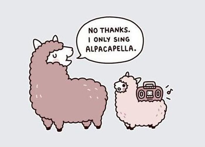 cartoon llama memes - No Thanks. | Only Sing Alpacapella.
