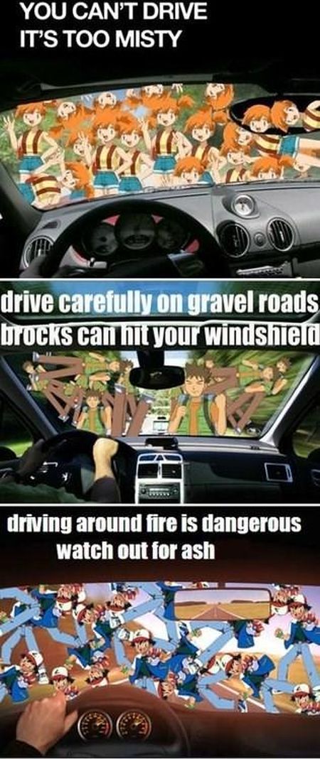 misty puns - You Can'T Drive It'S Too Misty drive carefully on gravel roads brocks can hit your windshield driving around fire is dangerous watch out for ash
