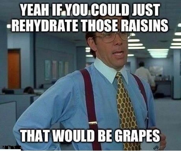 funny merry christmas meme - Yeah If You.Could Just Rehydrate Those Raisins That Would Be Grapes