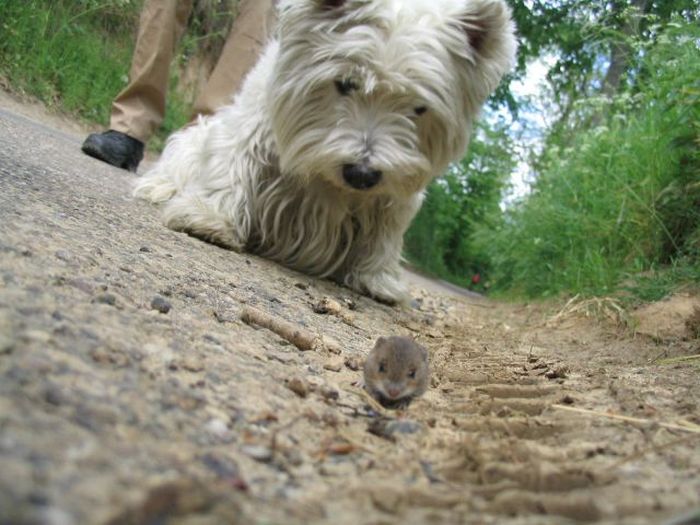 McFly's Daily Photo Flop