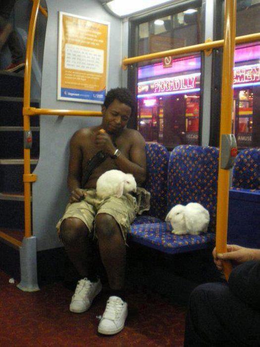 Funny People of Public Transport