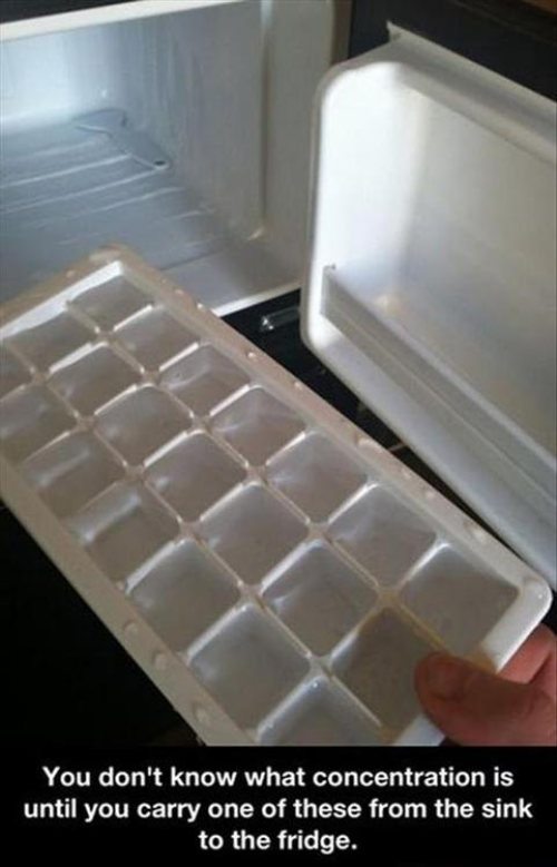 ice trays in freezer - You don't know what concentration is until you carry one of these from the sink to the fridge.