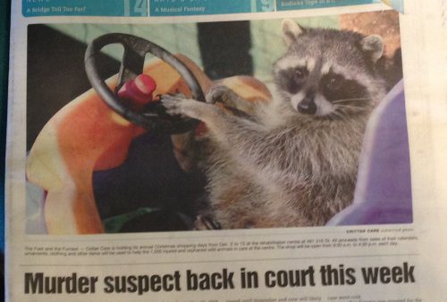 funny news racoon drinking gatorade - A M antan Murder suspect back in court this week