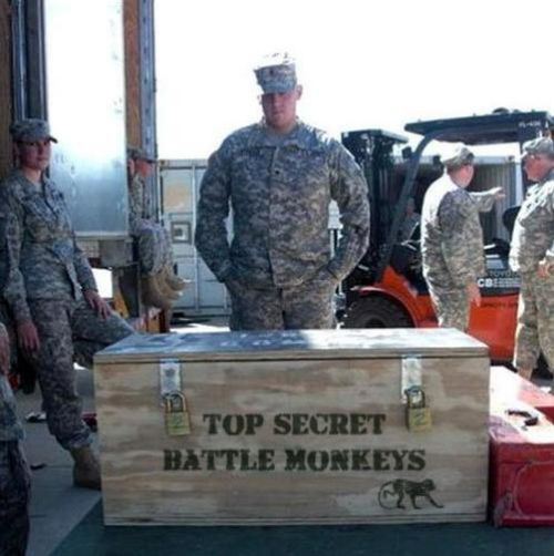 There Has To Be A Logical Explination