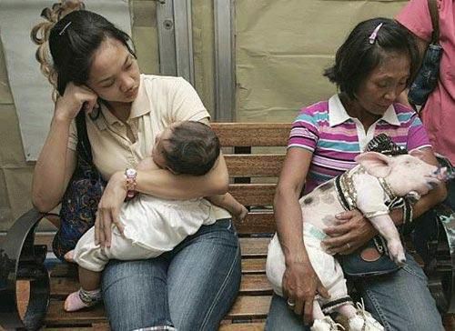 There Has To Be A Logical Explination