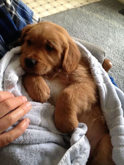 McFly's Daily Photo Flop