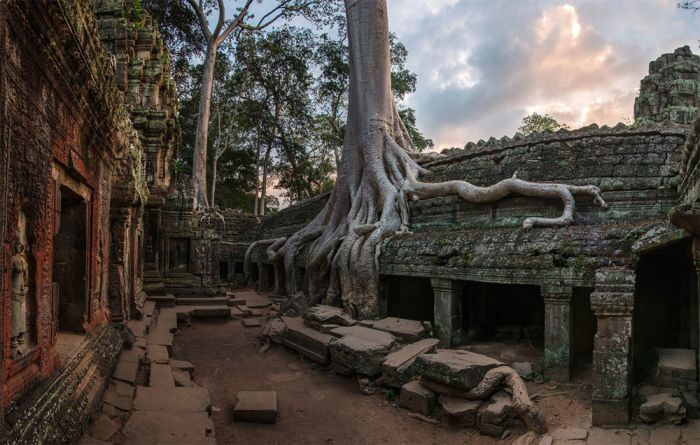 McFly's Daily Photo Flop