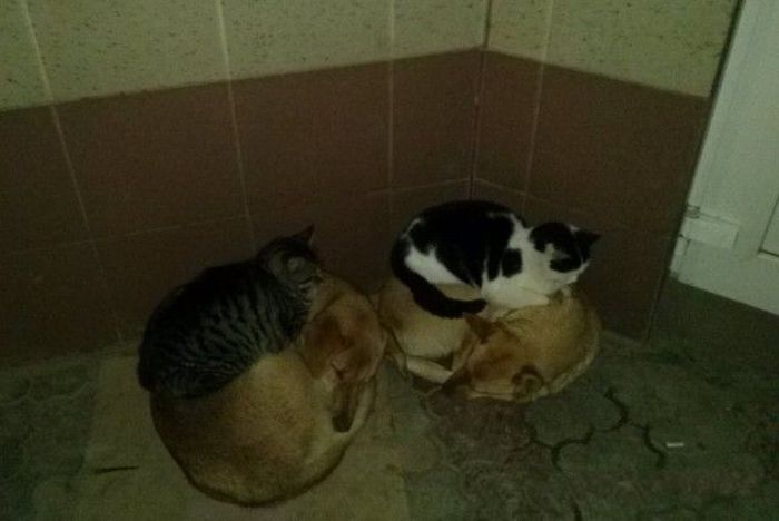 McFly's Daily Photo Flop