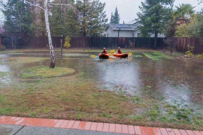McFly's Daily Photo Flop