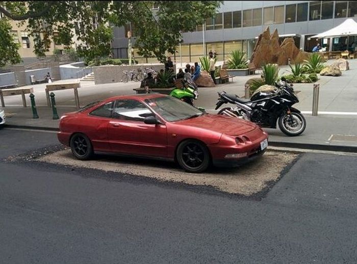 McFly's Daily Photo Flop