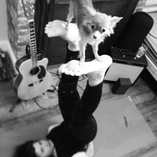 McFly's Daily Photo Flop