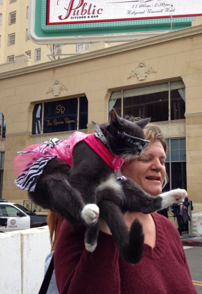 McFly's Daily Photo Flop