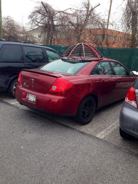 McFly's Daily Photo Flop