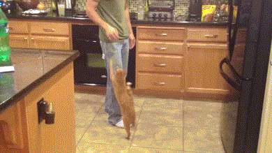 McFly's Daily Photo Flop