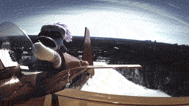 McFly's Daily Photo Flop