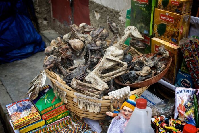 West African followers of Vodun number in the tens of millions, and so it shouldn't be a surprise that in Togo they have what could be considered the Costco of ingredients. Welcome to the Voodoo Fetish Market