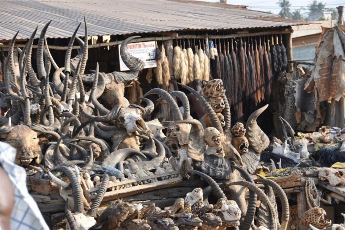 A Tour Of An African Voodoo Market