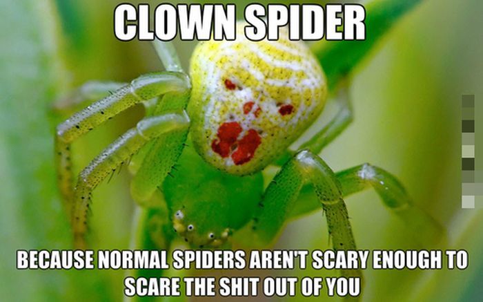 McFly's Daily Photo Flop